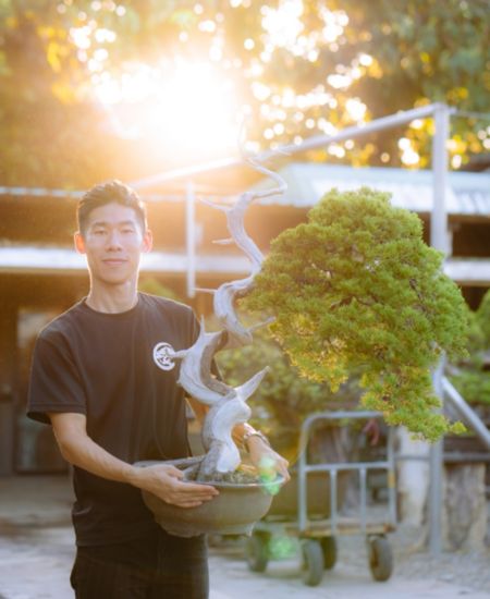 盆栽展覽與經歷 華園盆栽職人參展經歷與得獎作品展示