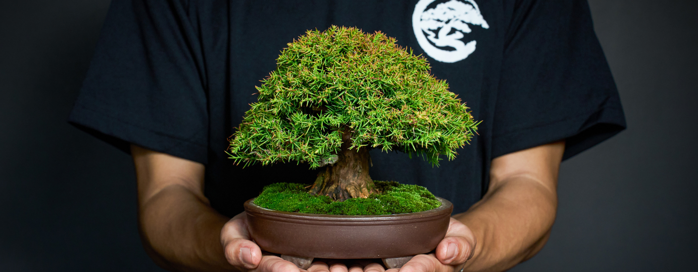 讓您輕鬆養好每一株盆栽