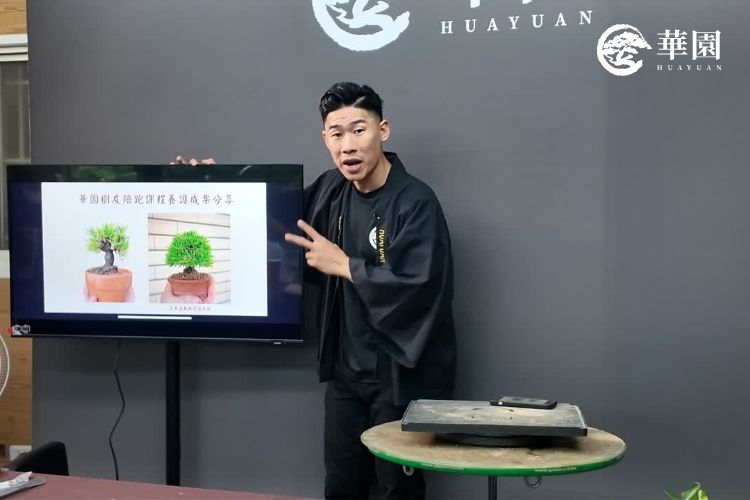 陳志華老師於課程中分享樹友參與陪跑課程後，成功將衰弱的盆栽養護回健康狀態的前後對比案例。