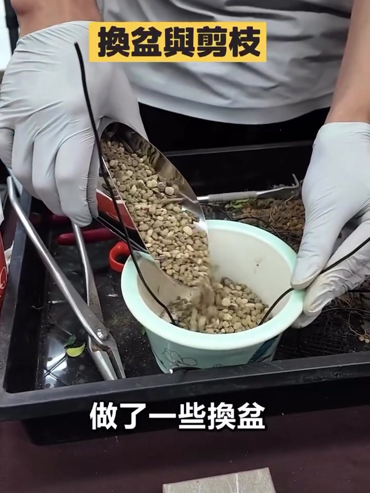 換盆與介質填補實作 學員專注進行盆栽換盆時的介質填補與固定作業,展現紮實的學習成果。