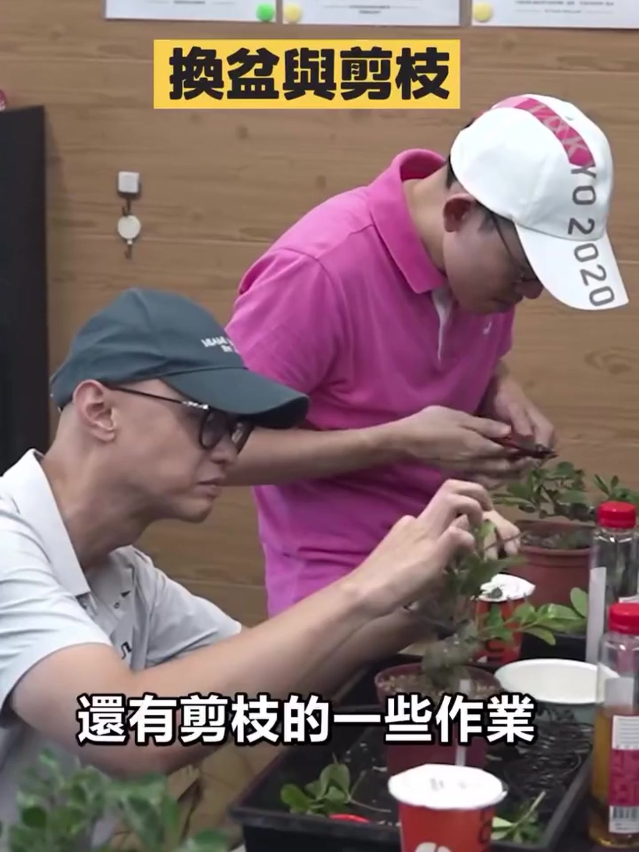 學員實作剪枝與換盆作業 學員在華園盆栽實體課中動手進行換盆與剪枝剪定作業,親身體驗盆栽養護的核心技巧。