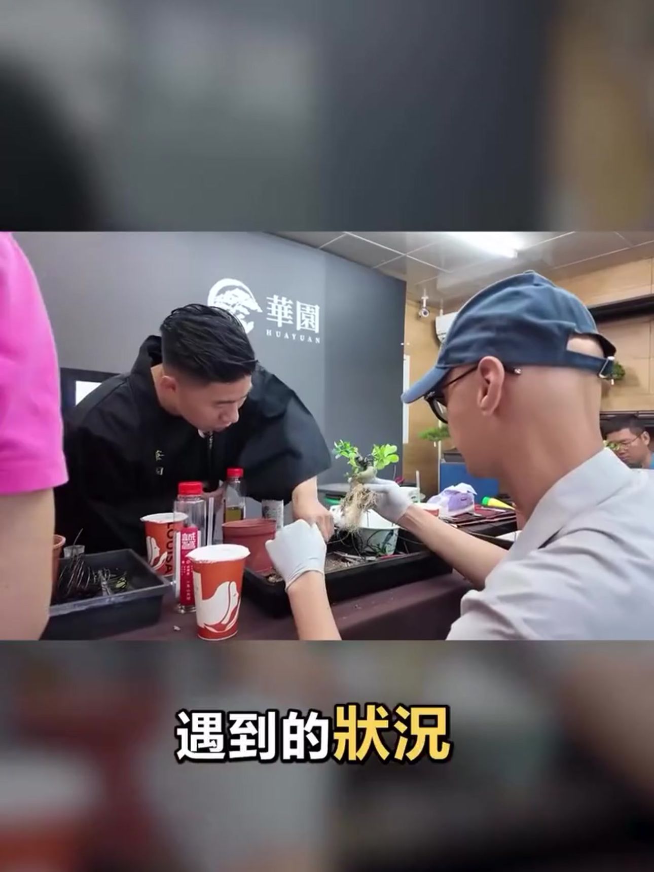 職人陳志華一對一學員指導 華園盆栽主理人陳志華一對一指導學員,針對學員遇到的實際盆栽狀況給予最精準的解答。
