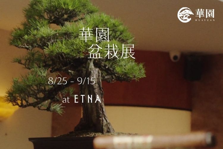經年The Long Thread：華園盆栽百年老樁走進ETNA Taipei，當Art Deco遇見無法加速的時間