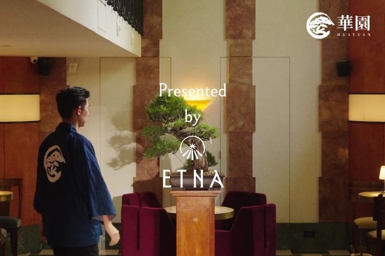 ETNA Taipei 頂級 Lounge 空間內擺設華園精品盆栽，完美襯托名流沙龍的奢華氣韻。