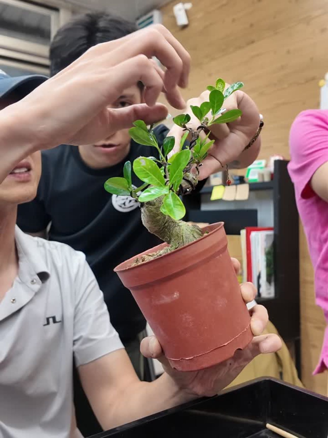 學徒 Kai 參與園區實務操作與整姿學習，親身體驗手作盆栽的深厚魅力。