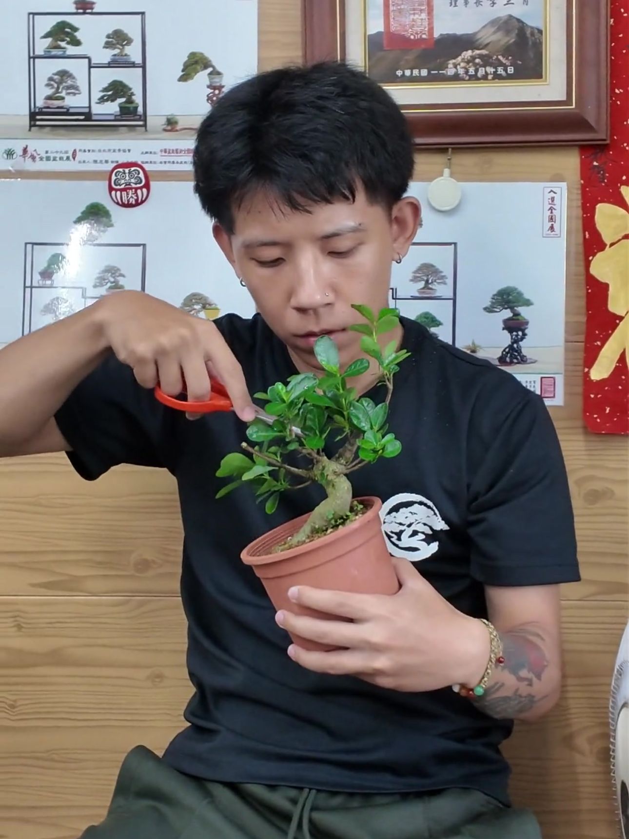 學徒 Kai 專注於盆栽修剪與枝條雕塑操作，展現華園新一代職人的認真態度。