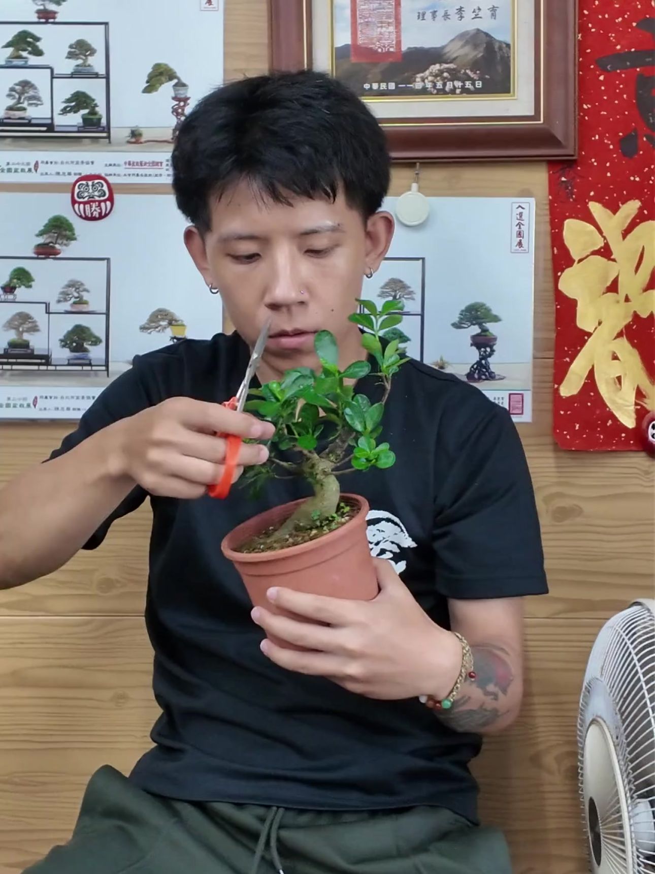 學徒 Kai 認真執行日常盆栽維護作業，從基礎養護與觀察培養看懂樹木狀態的能力。