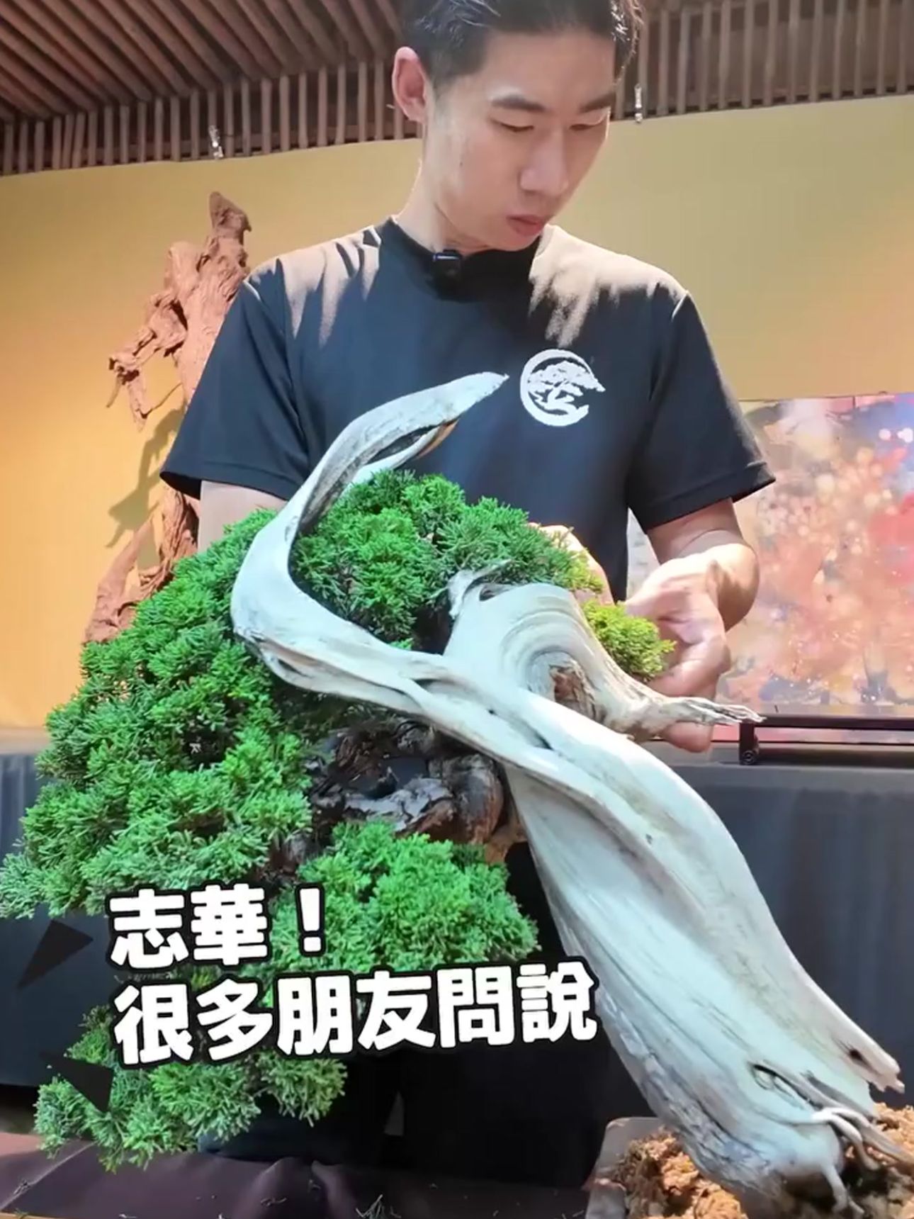 華園盆栽主理人陳志華與精緻系魚川真柏作品合影，展現日本認證職人的頂級盆景雕塑工藝。