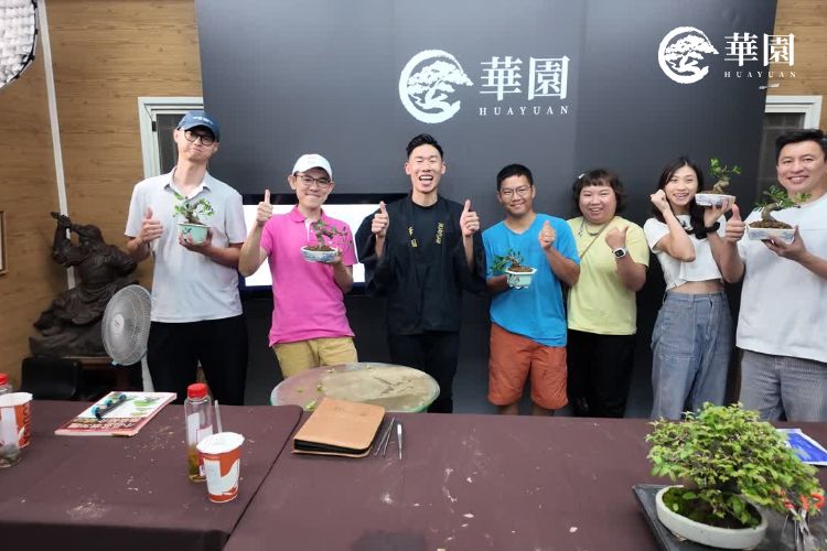 植物早就發出警訊，只是你沒看懂：華園盆栽職人教你提前判斷樹的狀態