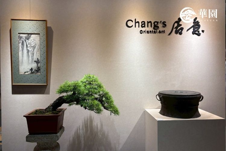 華園盆栽在 2025 台灣藝術博覽會展出的五葉松。樹姿優雅，線條細膩，是日式禪意空間美學或文人造型盆栽的最佳展現。