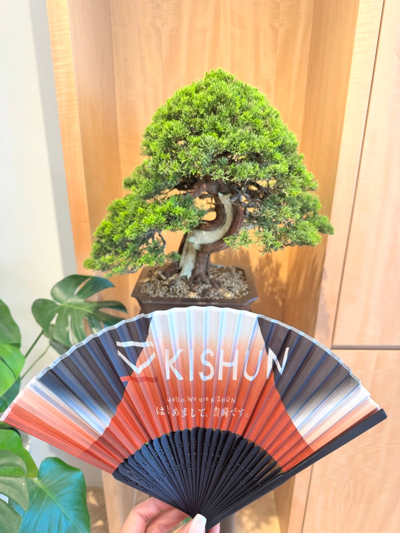 華園盆栽為貴瞬KISHUN夏日祭典提供系魚川真柏，完美展現頂級珠寶品牌的日式美學與空間氣韻。
