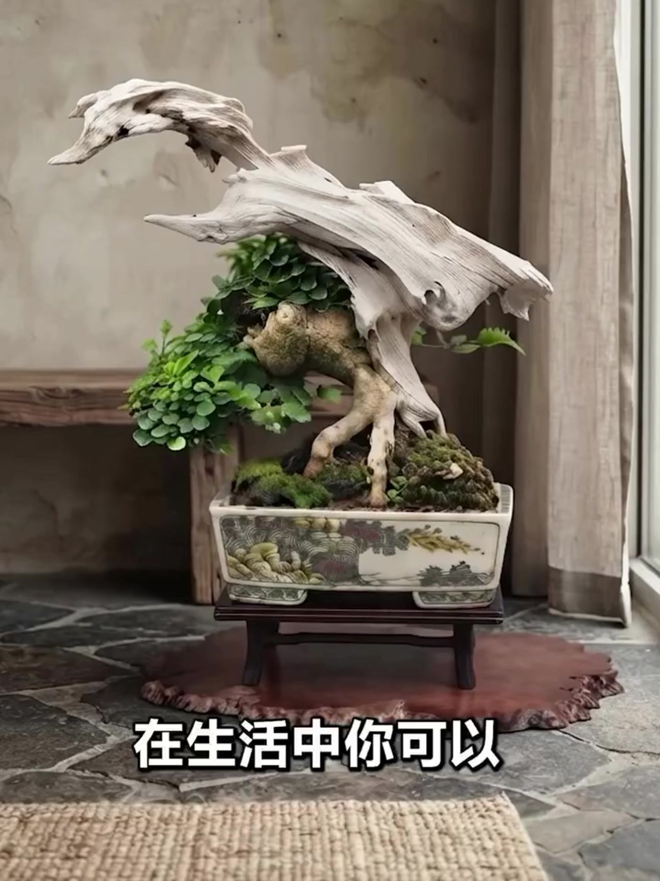 盆栽藝術融入居家空間,營造療癒氛圍 精緻的盆栽藝術品擺放於居家空間中,散發出沉穩而優雅的禪意,為生活步調按下慢轉鍵。