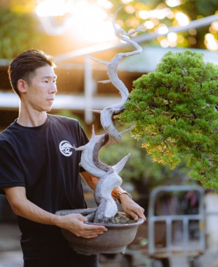 盆栽代拍賣服務 樹友代拍賣會服務,安心託售,延續盆栽價值