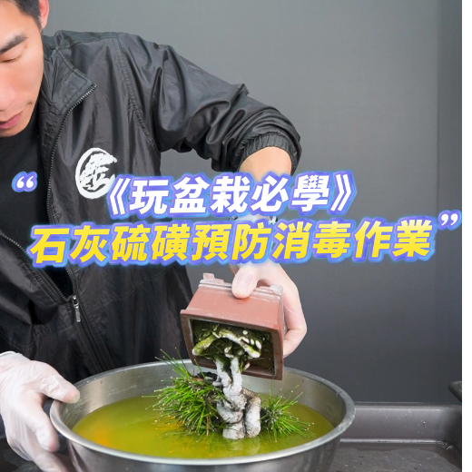 直播互動教學
