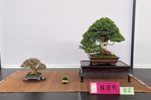 優選獎