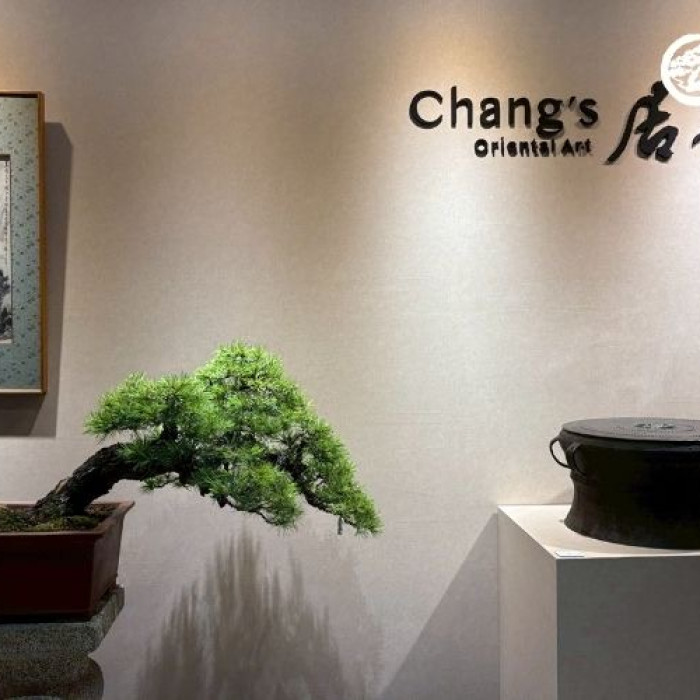 五葉松VIP 客訂專案：華園日式禪意文人樹型設計與代管- 產品介紹- 華園盆栽