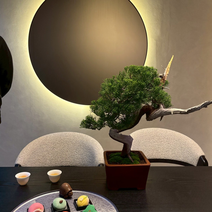 企業盆栽租賃方案｜辦公室盆栽出租、空間植栽代管- 華園盆栽- 產品介紹